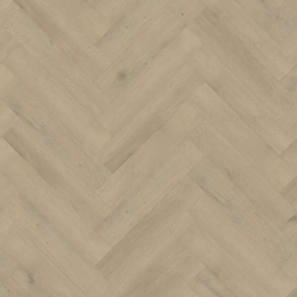 Belakos Attico visgraat XL 85