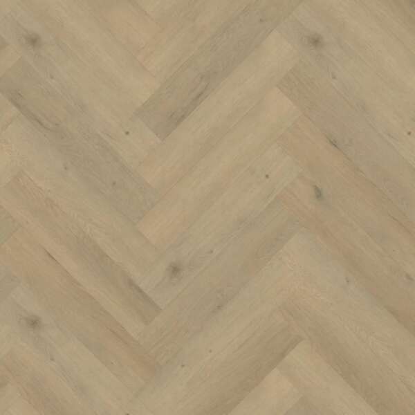 Belakos Attico visgraat XL 86