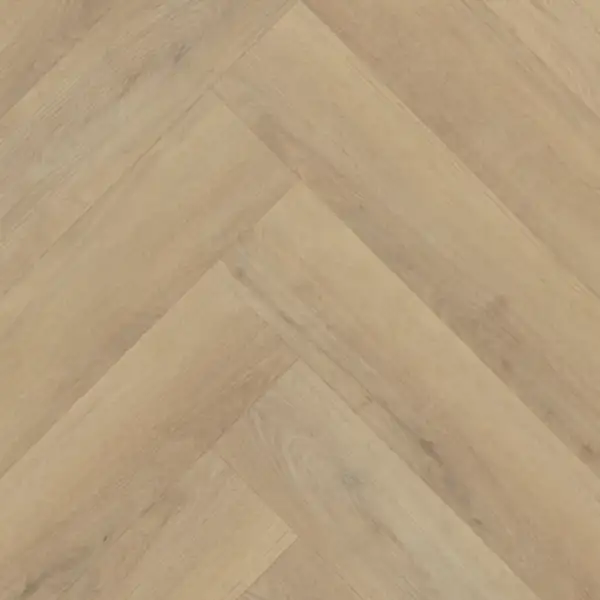 Belakos Palazzo visgraat XL 72