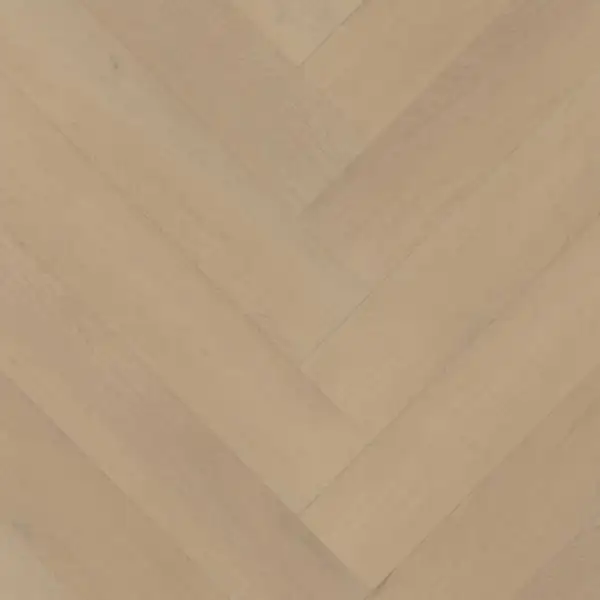 Belakos Palazzo visgraat XL 77