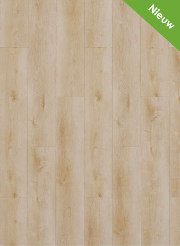 Gelasta Dynamic 2500 Natural light