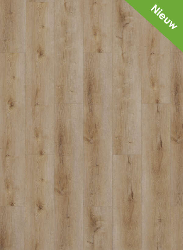 Gelasta Dynamic 2501 Natural smoked