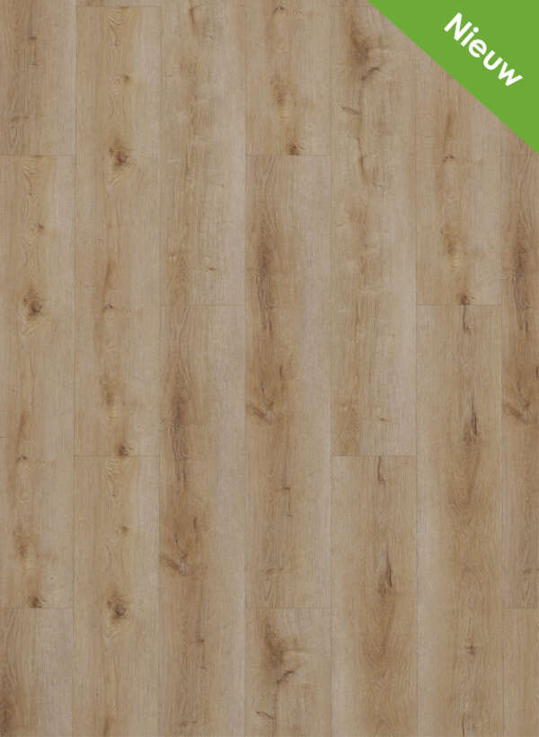 Gelasta Dynamic 3501 Natural smoked click