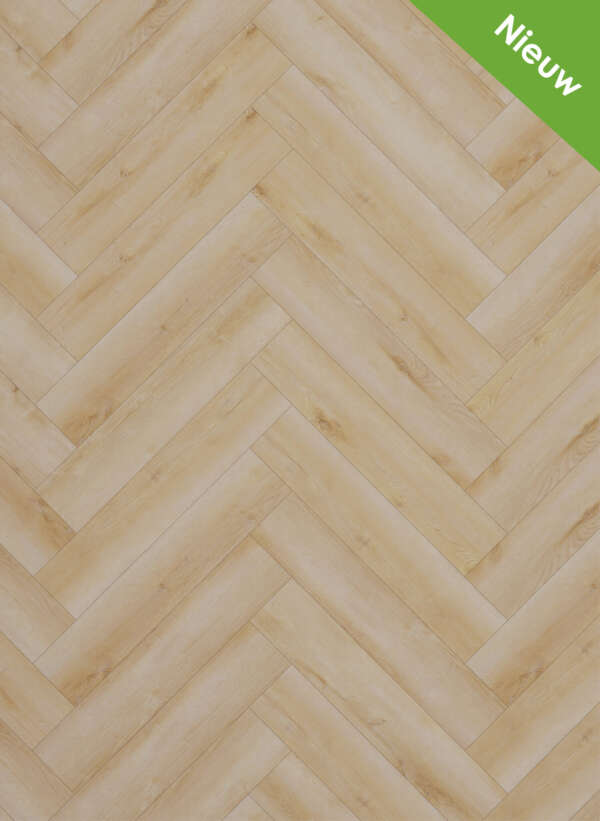 Gelasta Dynamic Visgraat 3600 Natural light click