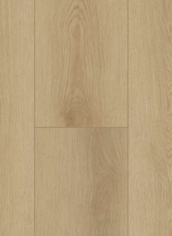 Firmfit Silent 7500 Sierra Light