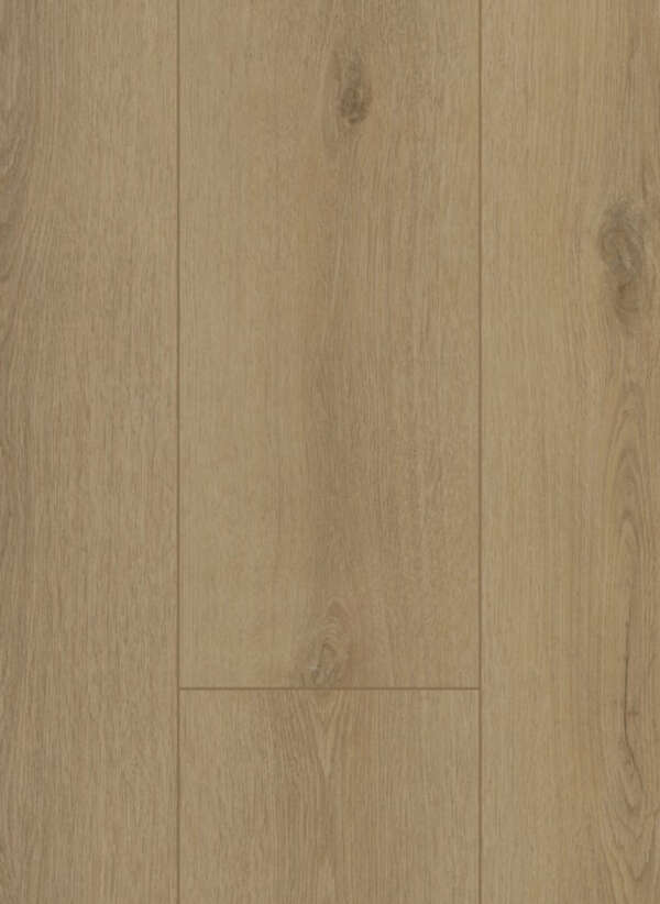 Firmfit Silent 7501 Sierra Beige