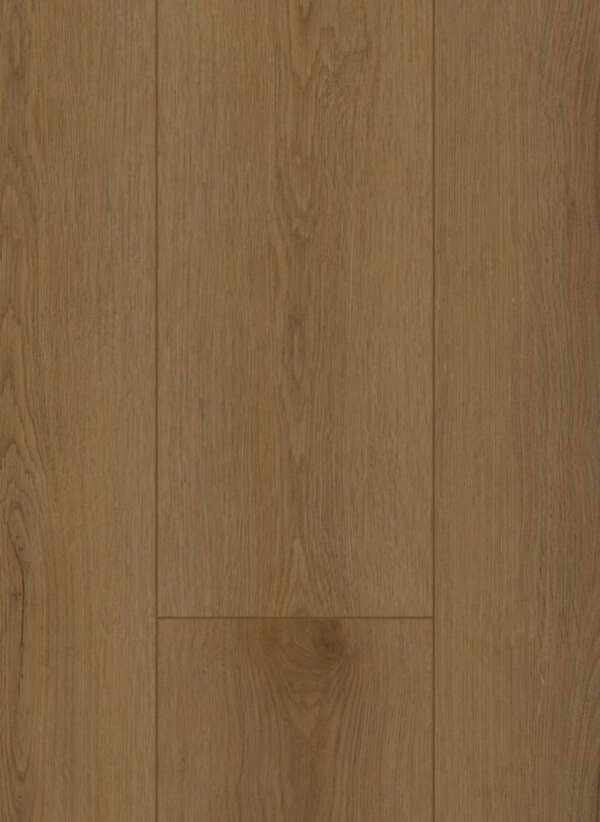 Firmfit Silent 7503 Sierra Brown