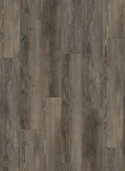 Gelasta City 4605 Olympia Pine Brown