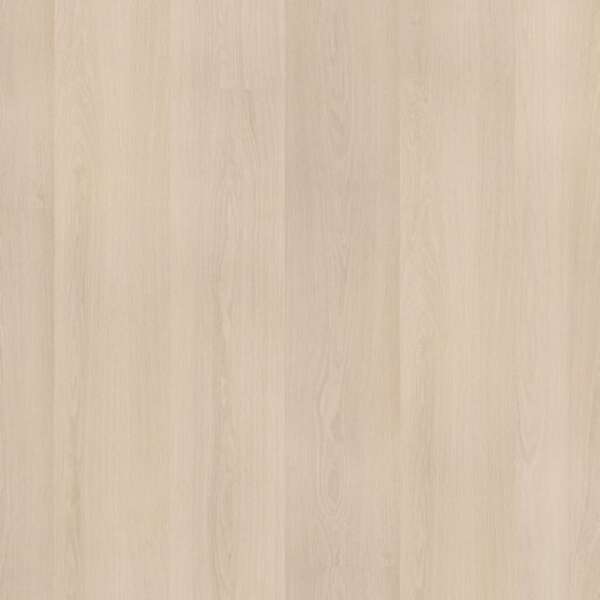 Soleno dryback beige