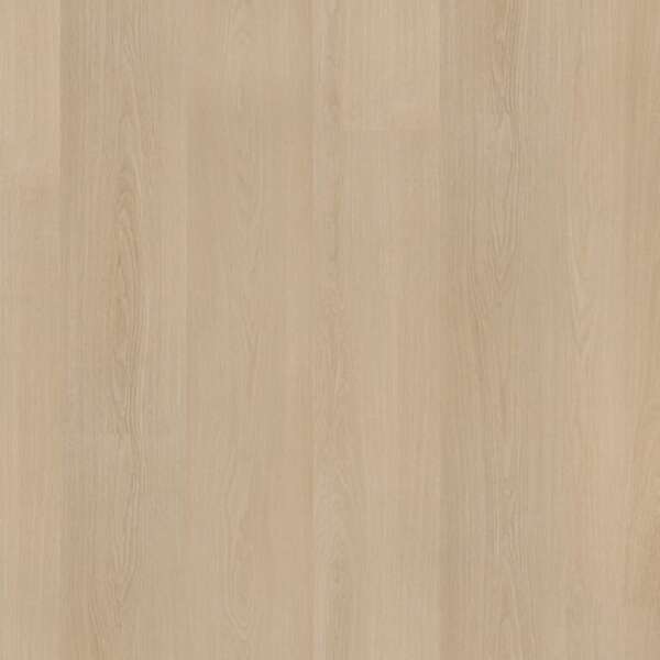 Soleno dryback natural