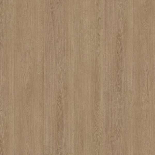 Soleno dryback warm oak