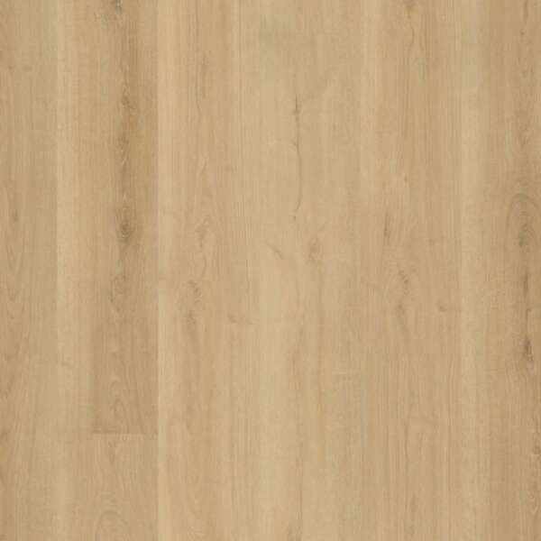 Valento dryback natural