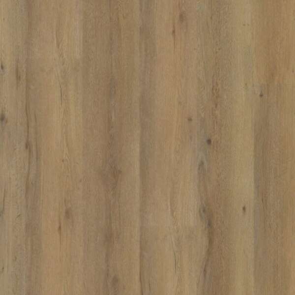 Vivero dryback dark oak