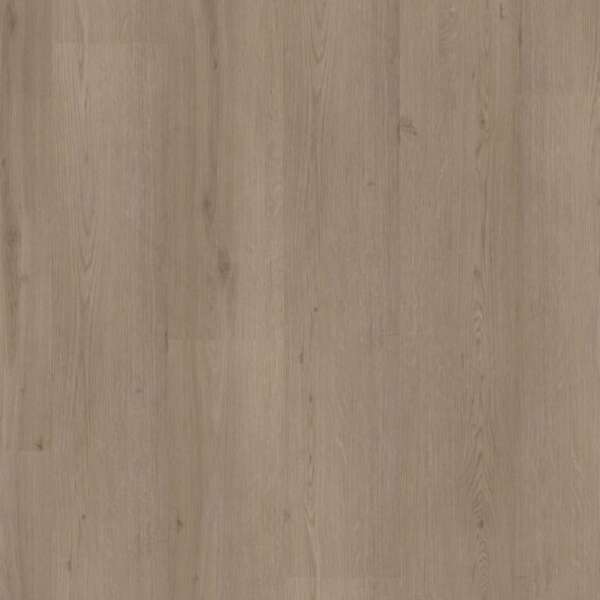 Venera dryback smoky