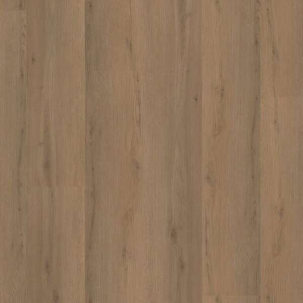 Venera dryback dark oak