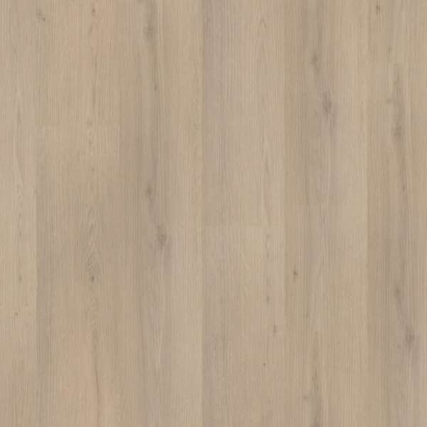 Venera dryback beige