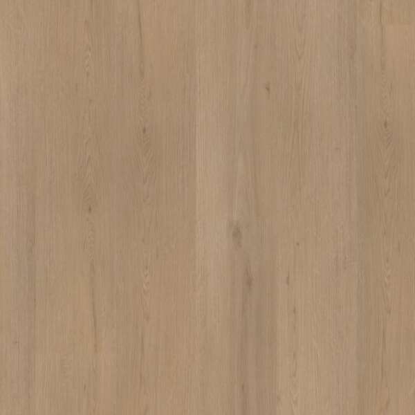 Venera dryback natural oak