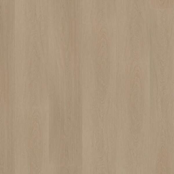 Estino dryback smoky