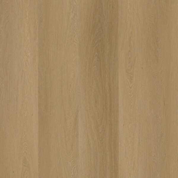 Estino dryback warm oak