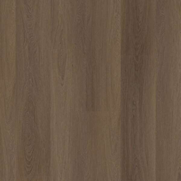 Estino dryback brown