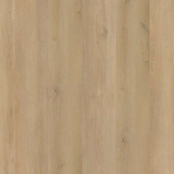 Espero dryback beige