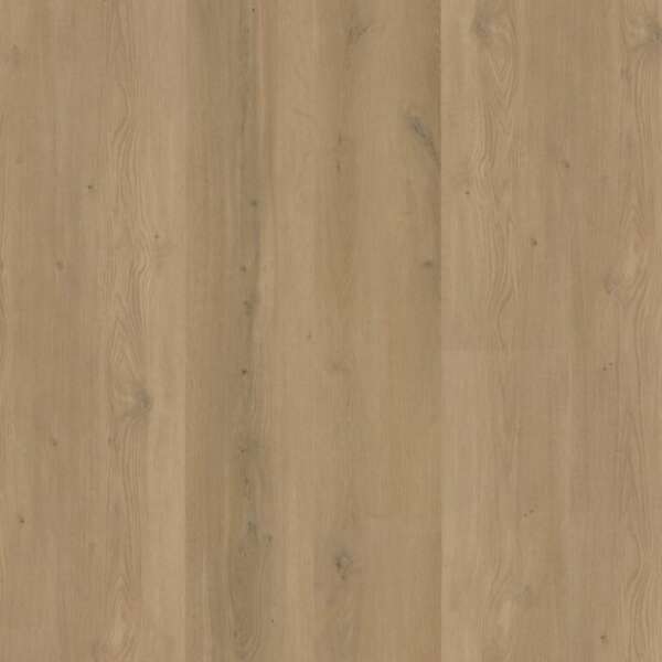 Espero dryback warm oak