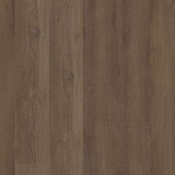Espero dryback warm brown