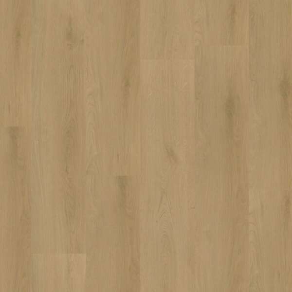Navaro dryback light oak