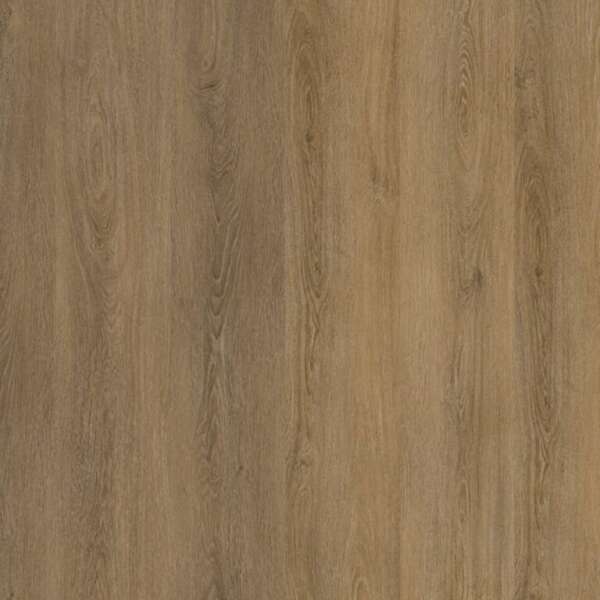 Viranto dryback light brown