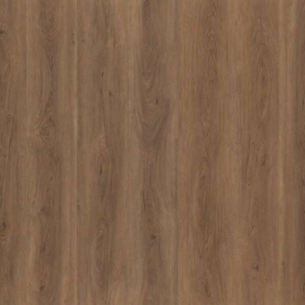 Robusto dryback warm brown