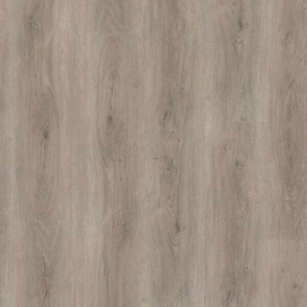 Robusto dryback light grey