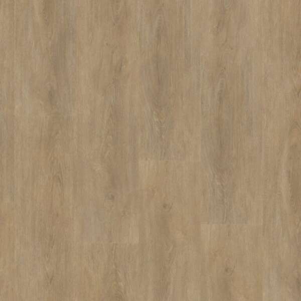 Robusto dryback natural oak