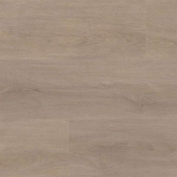 Robusto dryback light oak