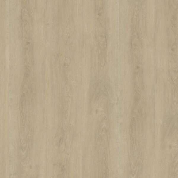 Robusto dryback light natural