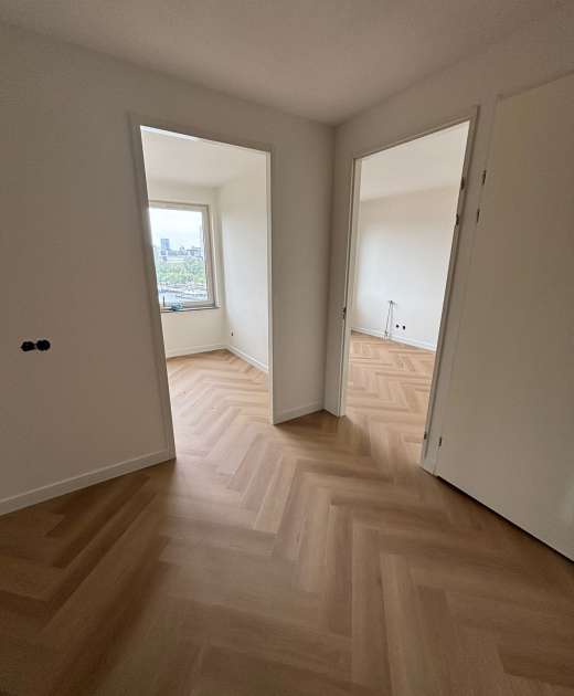 WhatsApp Image 2026-02-06 at 11.11.11 PM